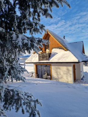 Domek Pod Laskiem